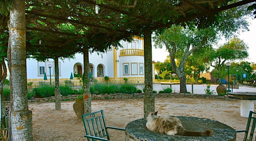 Appartamento Quinta Da Bela Vista Póvoa e Meadas Esterno foto