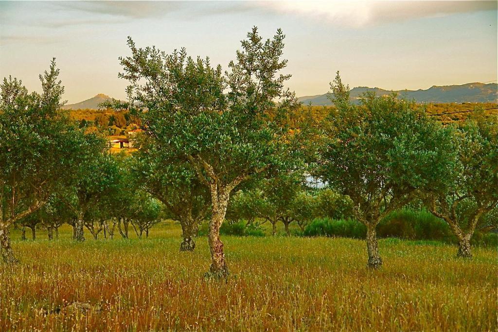 Appartamento Quinta Da Bela Vista Póvoa e Meadas Esterno foto